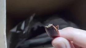 崽崽吃瓜视频在线播放免费,免费在线观看，揭秘娱乐圈幕后故事  第1张